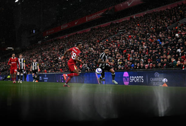 化的长尾关 化的长尾关