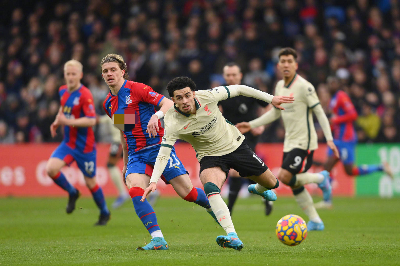 们关注的焦 们关注的焦